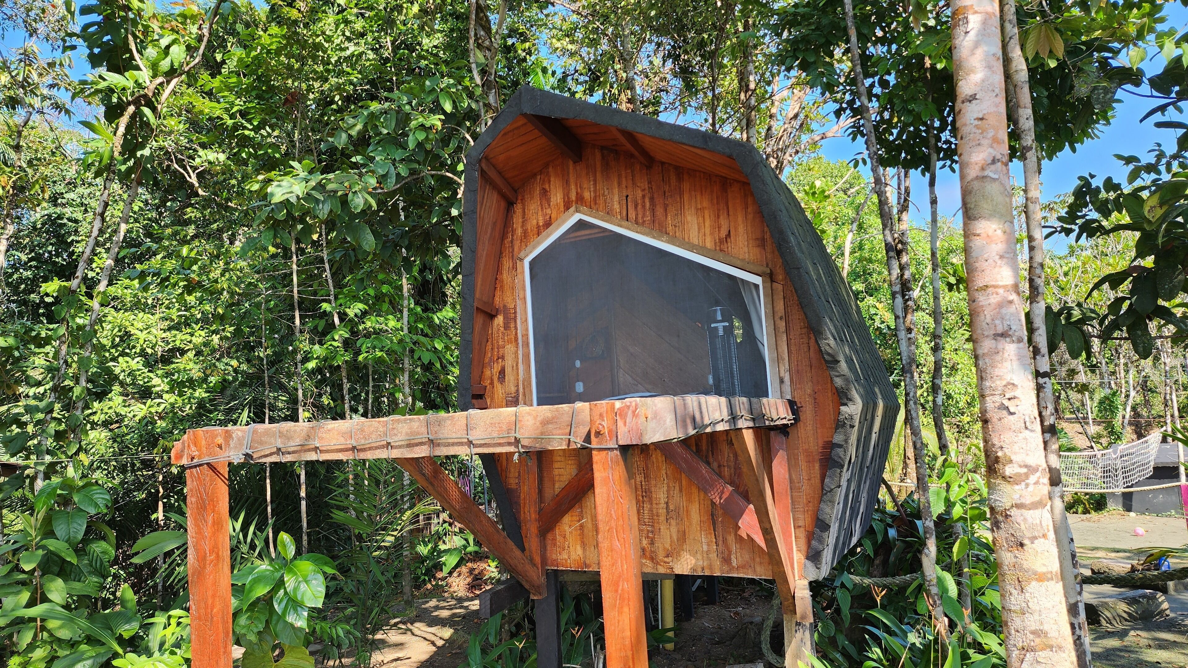 Une cabane en bois perchée dans un arbre, dotée d’une grande fenêtre et entourée d’un feuillage dense.