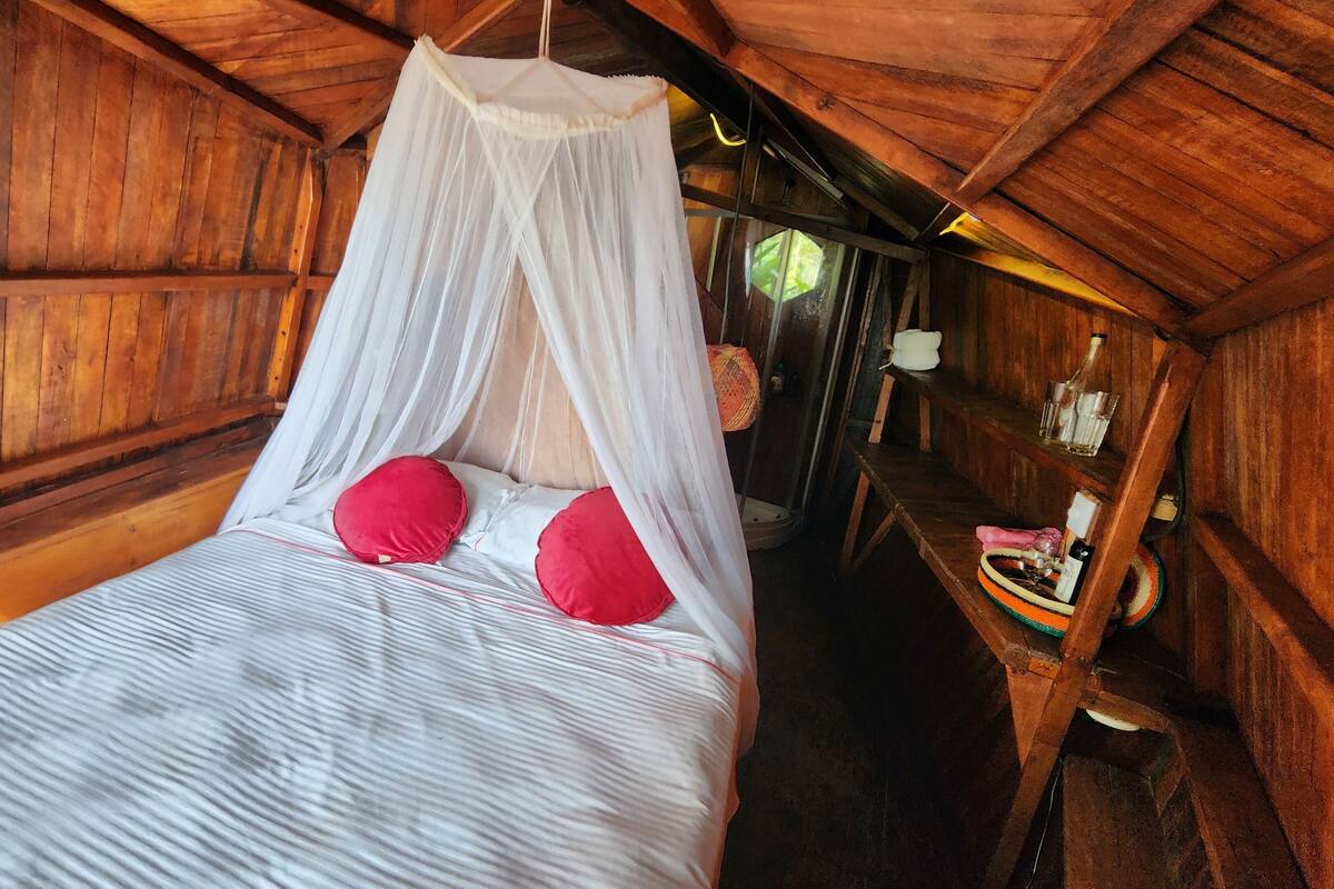 A wooden room with a bed under a canopy, a shelf with items, and a door leading to another room.