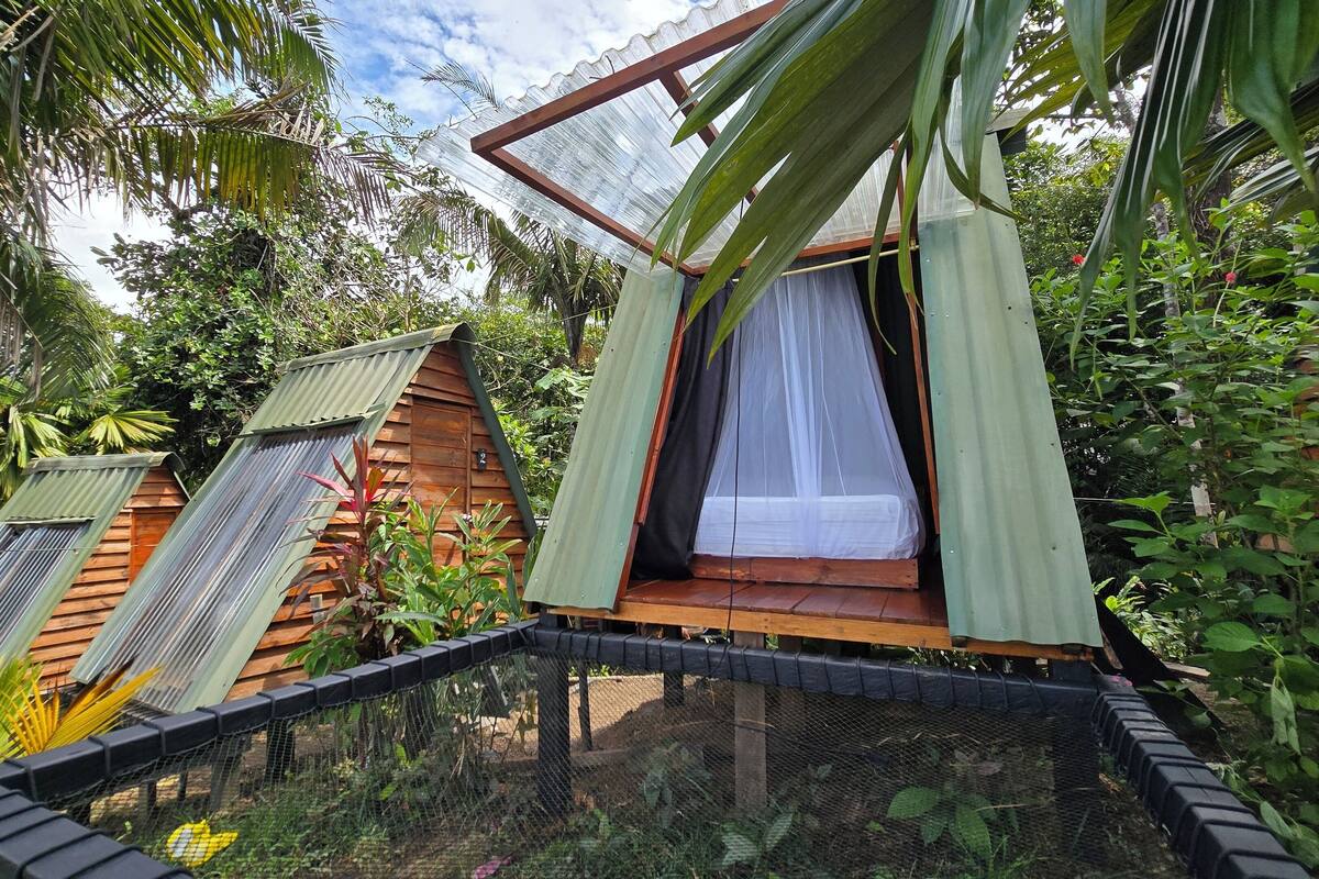 A series of wooden cabins with open sides, surrounded by lush greenery and a clear sky.