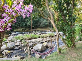 Entorno natural al aire libre con un arroyo, rocas y una hamaca.