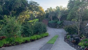 A garden pathway leading through a variety of plants and trees.