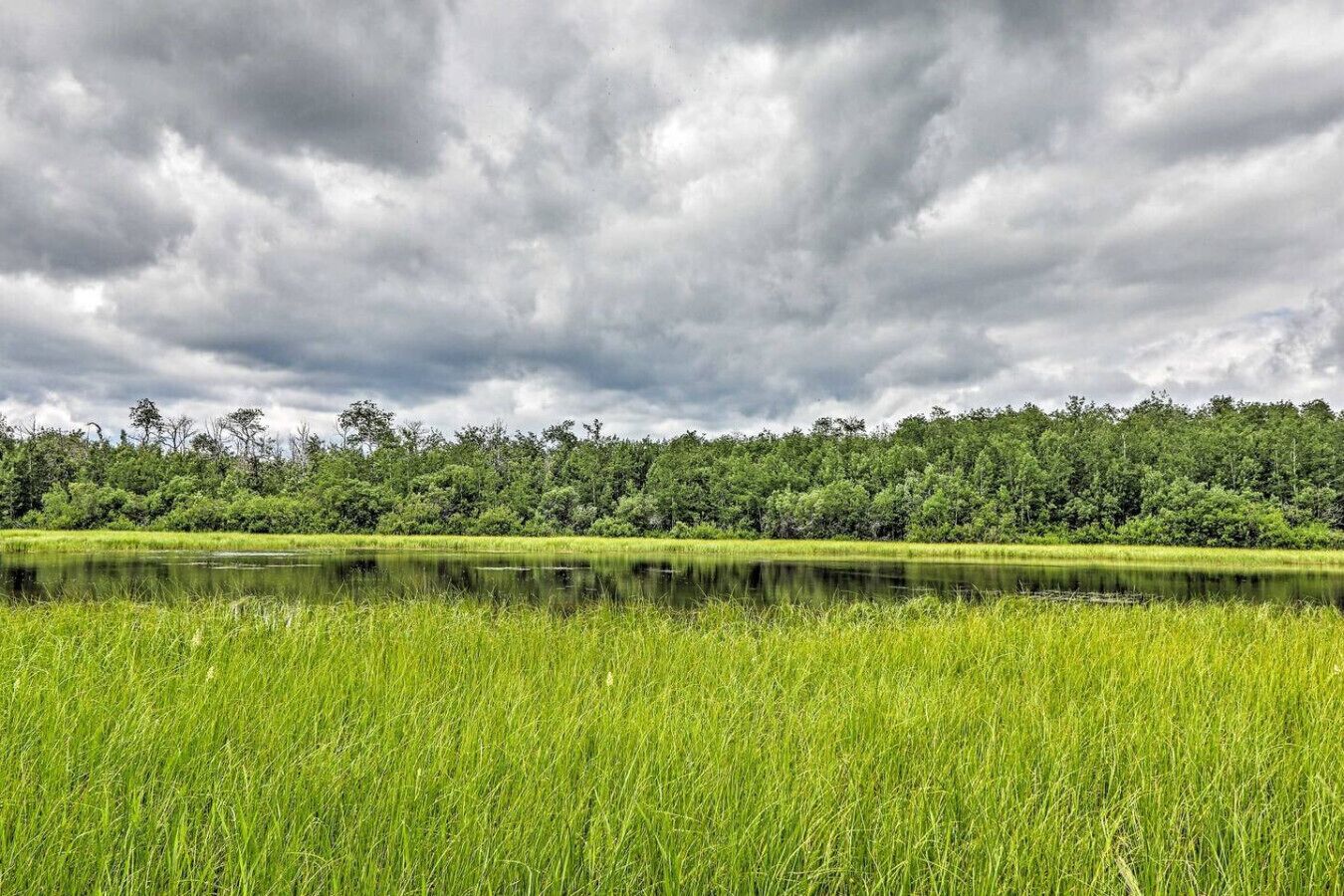 A natural landscape with a body of water, grassy fields, and a dense forest under a cloudy sky.