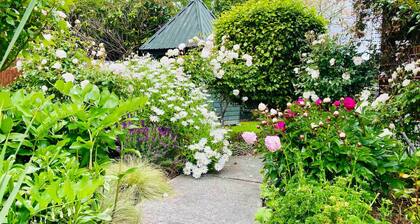 Comfort at Rosedale Retreat