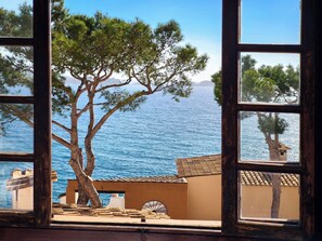 Interior - A3012 Apartment with sea view for 3 people in Cala Fornells (Paguera-Cala Fornells)