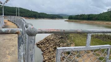 Un puente de hormigón con barandillas metálicas y una cerca de malla.