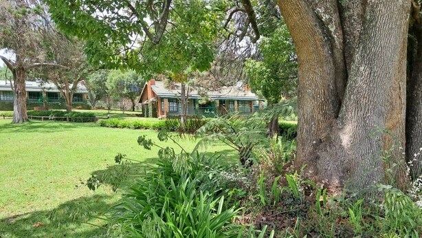 A lush garden with a large tree and a building with a green roof in the background. - Lake Alexander Country Resort  (Penhalonga)