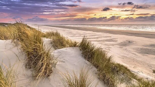 A beach with sand dunes and grass. - De Witte Brugh - Studio 4 (Buren)