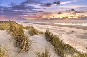 A beach with sand dunes and grass.