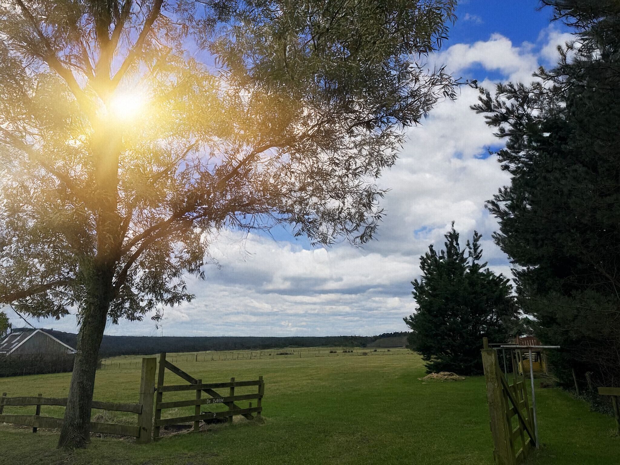A rural landscape with a wooden gate, a tree, and a field.