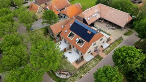 Eksteriør