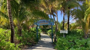 Un sentier menant au restaurant-bar Banana Bay, bordé d’une végétation luxuriante et de palmiers.