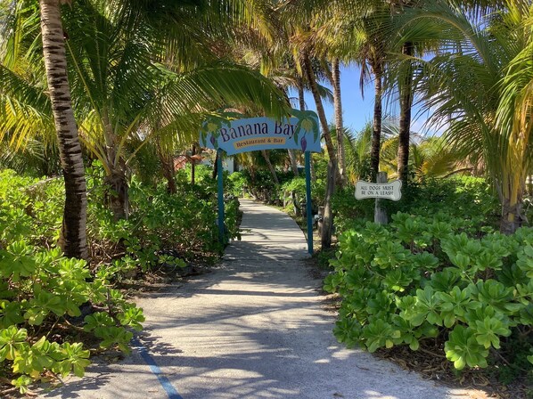 Property grounds - Charming New Blue Studio on water with dock, WiFi & AC in fun time Freeport (Freeport)