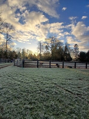 Overnattingsstedets uteområder
