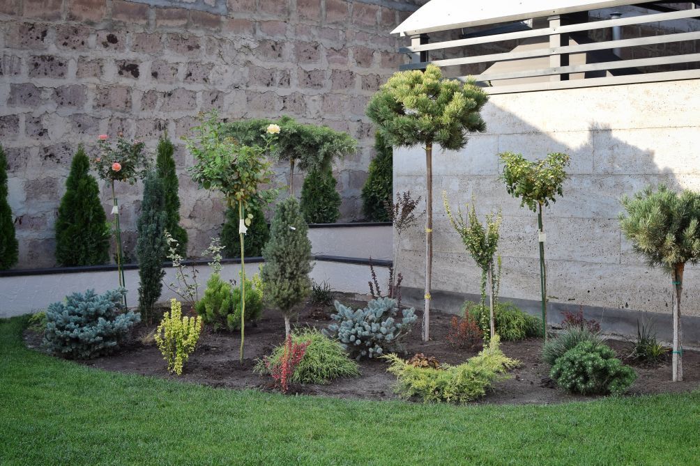 Ein angelegter Garten mit verschiedenen Sträuchern und kleinen Bäumen, eine Ziegelmauer und ein modernes Gebäude im Hintergrund.