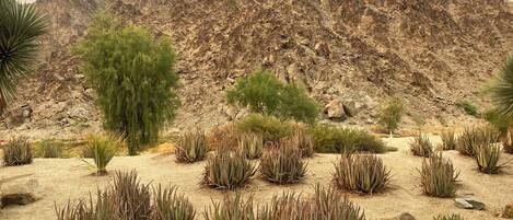 Áreas de la propiedad