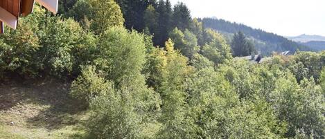 Terrain de lâhĂ©bergement