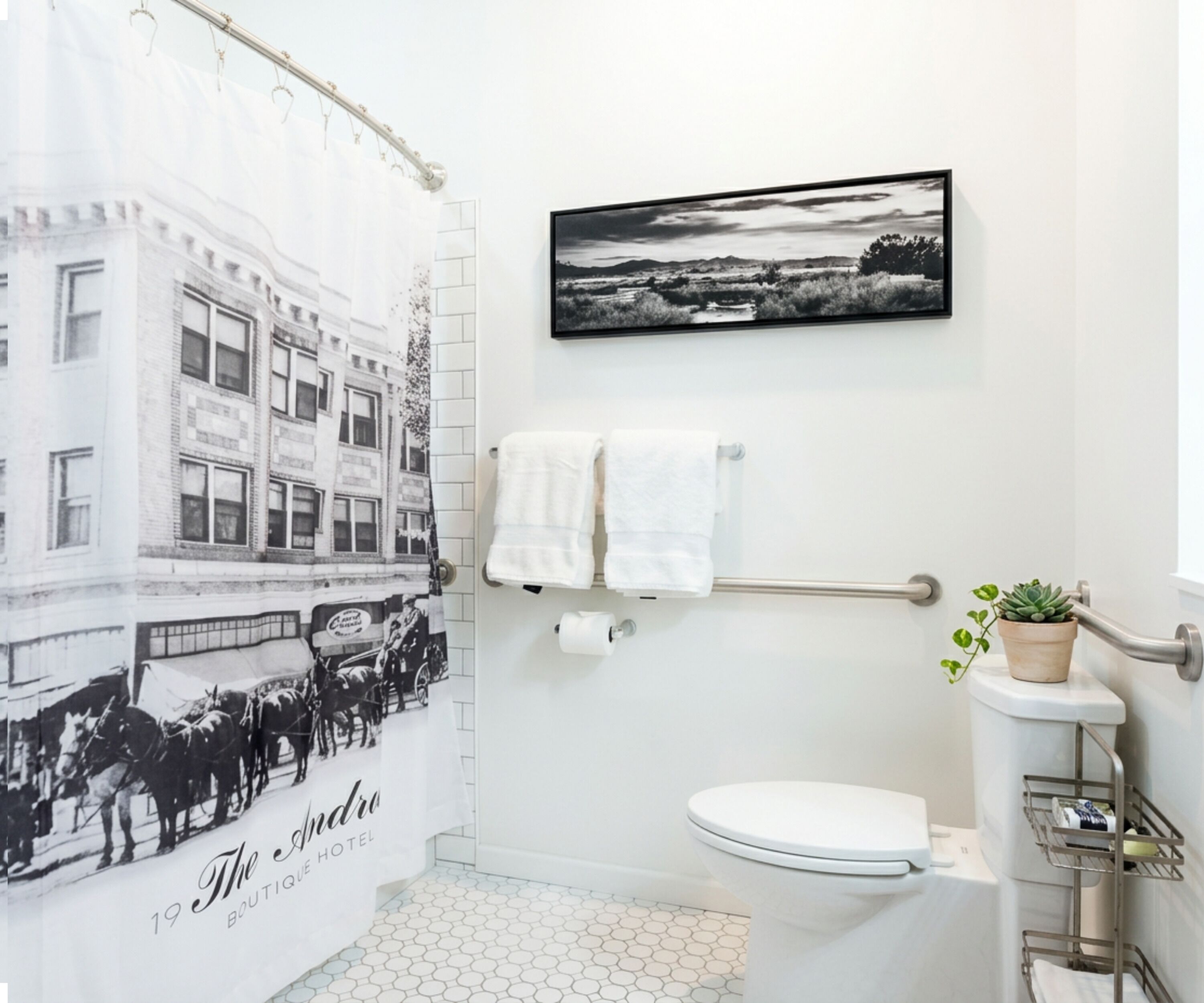 Une salle de bain avec un rideau de douche orné d’un motif représentant un bâtiment ancien, des toilettes, un porte-serviettes et un tableau représentant un paysage, encadré.