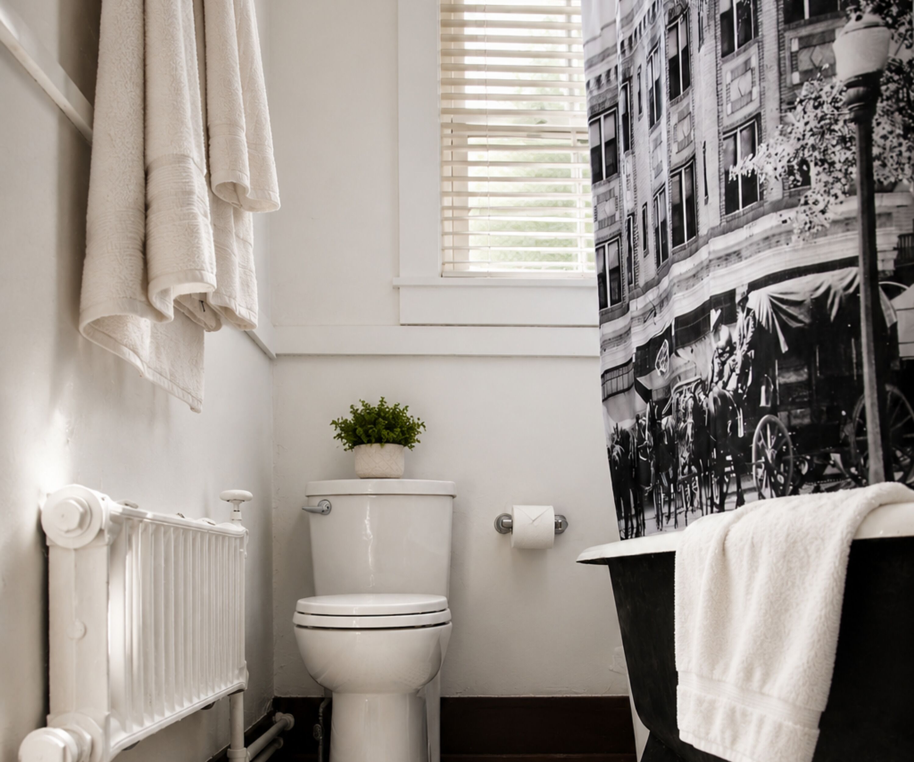 A bathroom with a toilet, a radiator, a potted plant, and a black and white photograph on the wall.