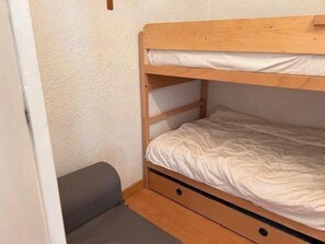 WiFi - 50m from shops, 2nd floor, balcony, tv, ski locker, 22m², Risoul (Risoul)