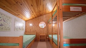 Une chambre de style cabane avec des lits superposés, un petit bureau en bois et deux affiches représentant des oiseaux, accrochées au mur.