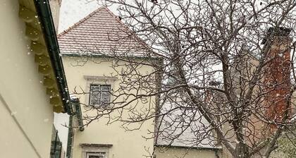 Masionette apartment in wine region 30 min south of Vienna