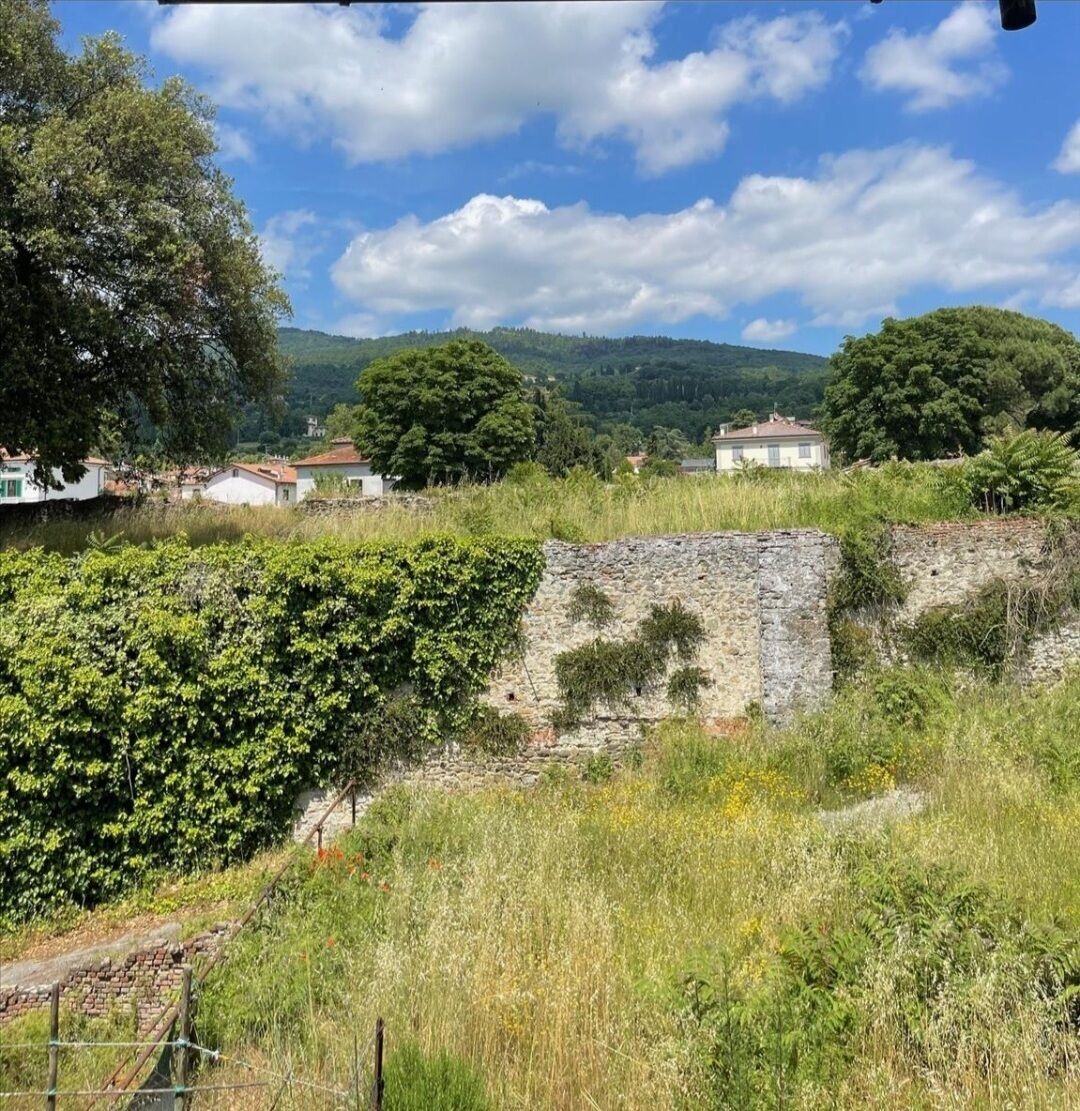 A stone wall with vegetation growing over it, a grassy area with a fence, and houses in the background under a clear sky.