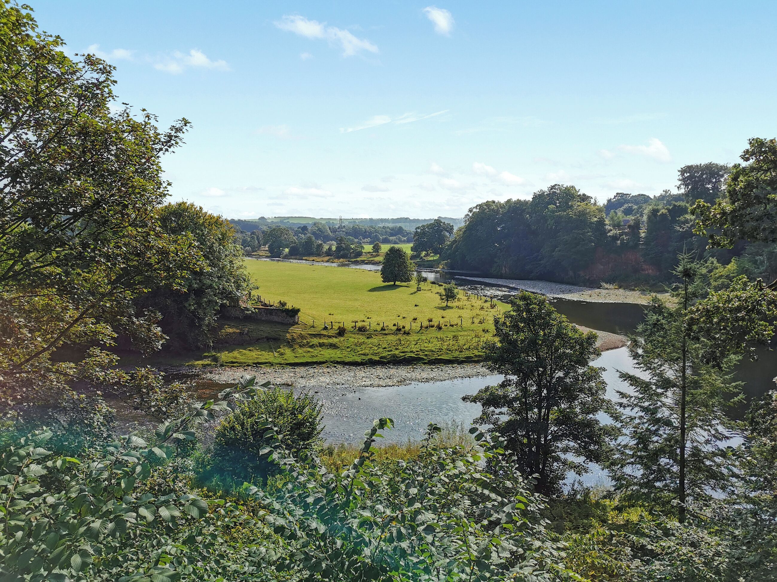 A river flowing through a lush green landscape with trees and open fields.