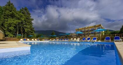 Remise en forme, piscine, balcon, parking, tĂ©lĂ©vision, 35-40mÂČ, Autrans-MĂ©audre en Vercors