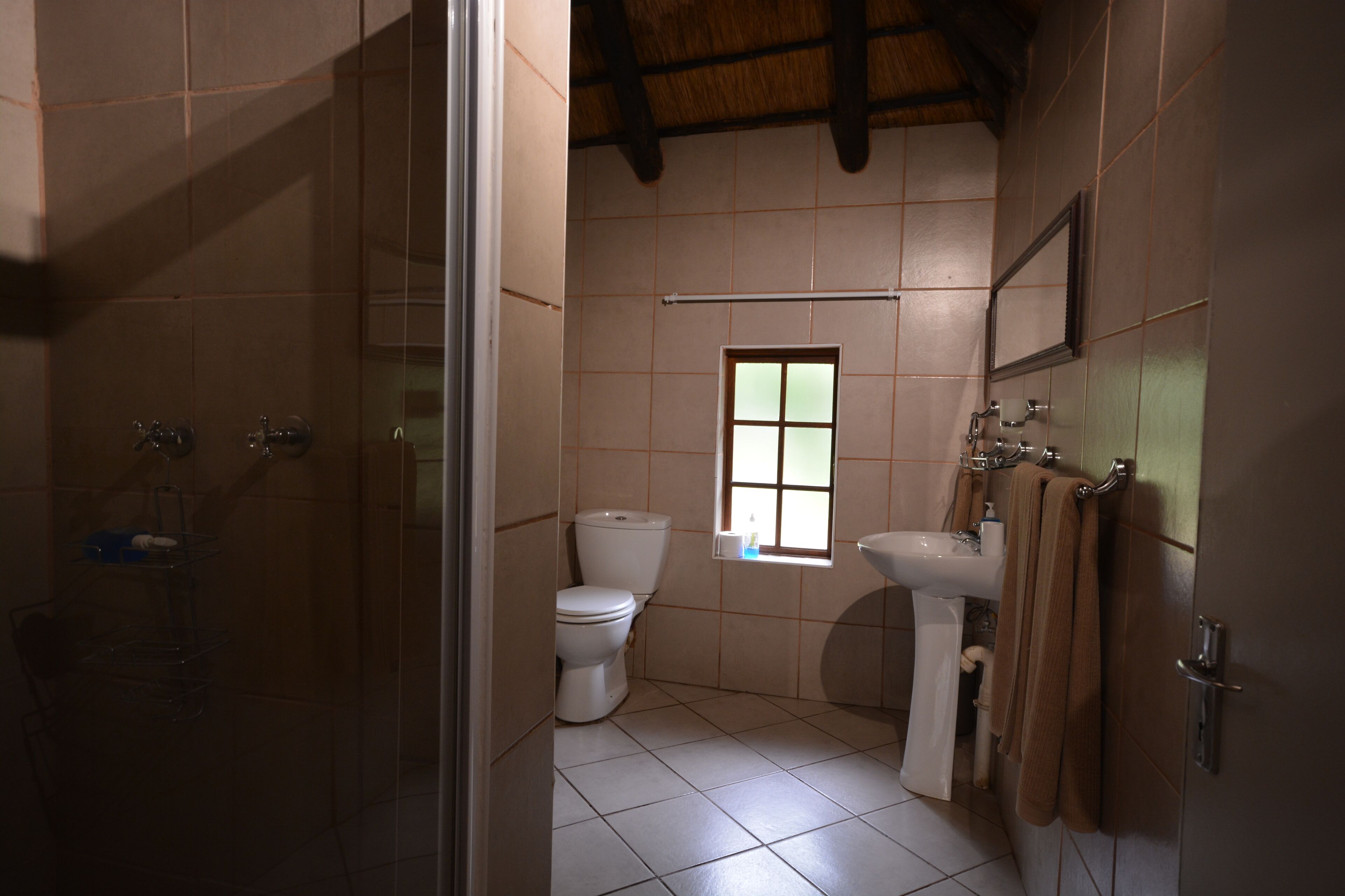 A bathroom with a toilet, sink, and shower.