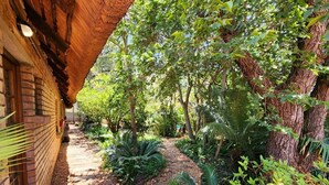 A garden pathway leading to a brick building with a thatched roof. - Mukurumanzi Lodge (Polokwane)