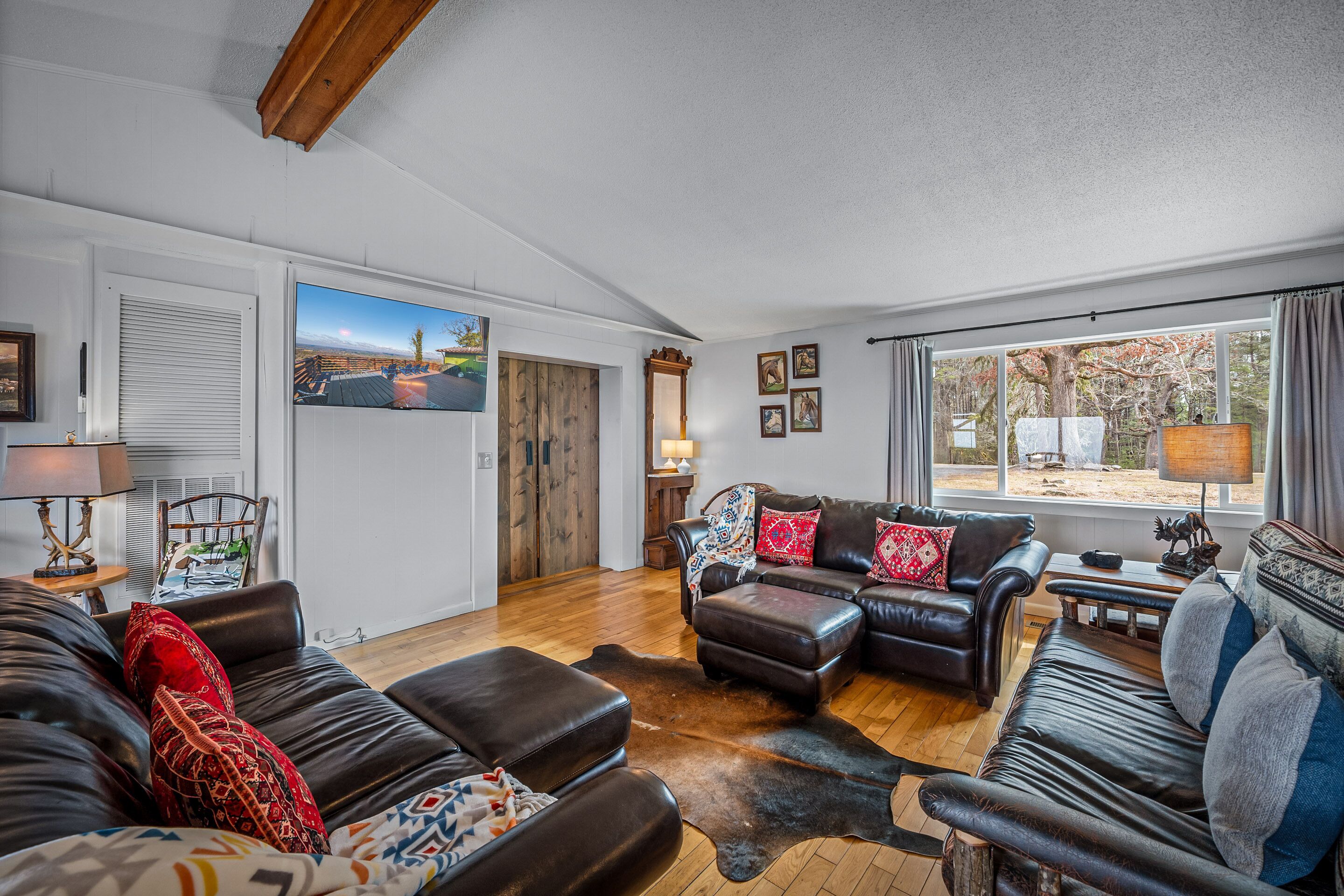 Smart TV, fireplace, books