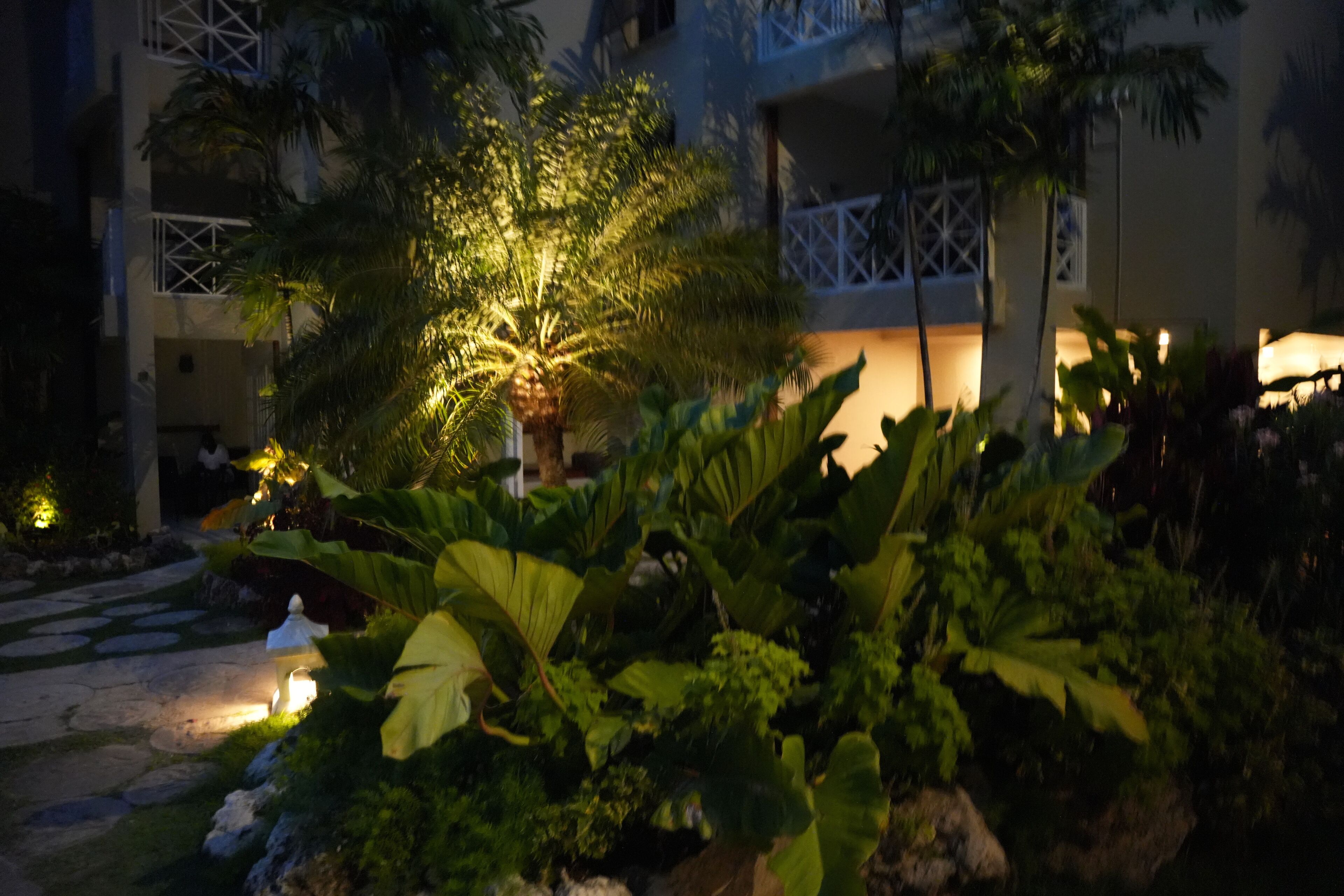 Photo - Hôtel Le Roy