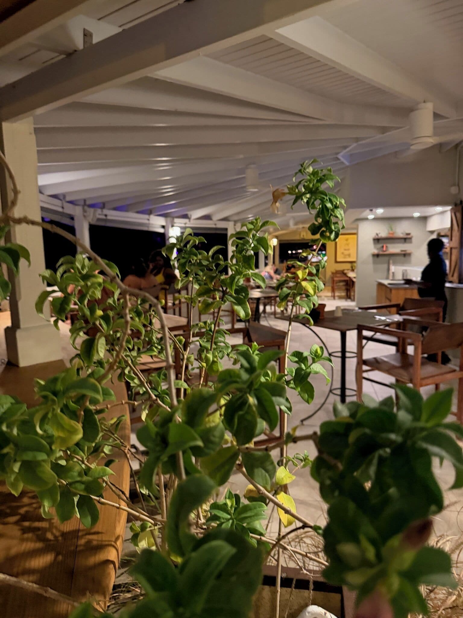 Foto - Hotel Le Roy