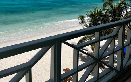 A beach view with clear turquoise waters, a sandy shore, and a palm tree.