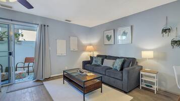 Televisor intel·ligent, llar de foc, reproductor de DVD i llibres