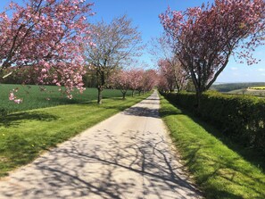 Miscellaneous - Beautiful, luxury 5* rural retreat,  private hot tub, exceptional views. (York)