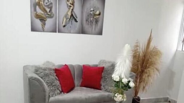 Een moderne woonkamer met een grijze bank, rode kussens, een grijze fauteuil en een klein bijzettafeltje met een vaas en pluisgras.