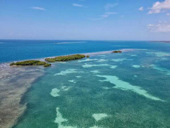 Plage à proximité, serviettes de plage
