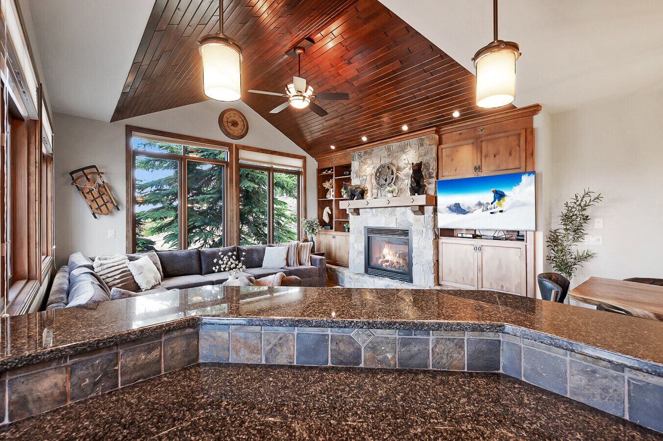 Fernseher, Kamin, Videospiele, Bücher