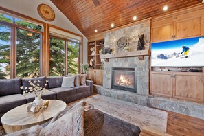 TV, fireplace, video games, books