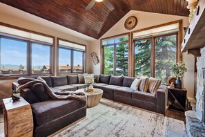 TV, fireplace, video games, books