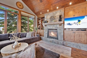 TV, fireplace, video games, books