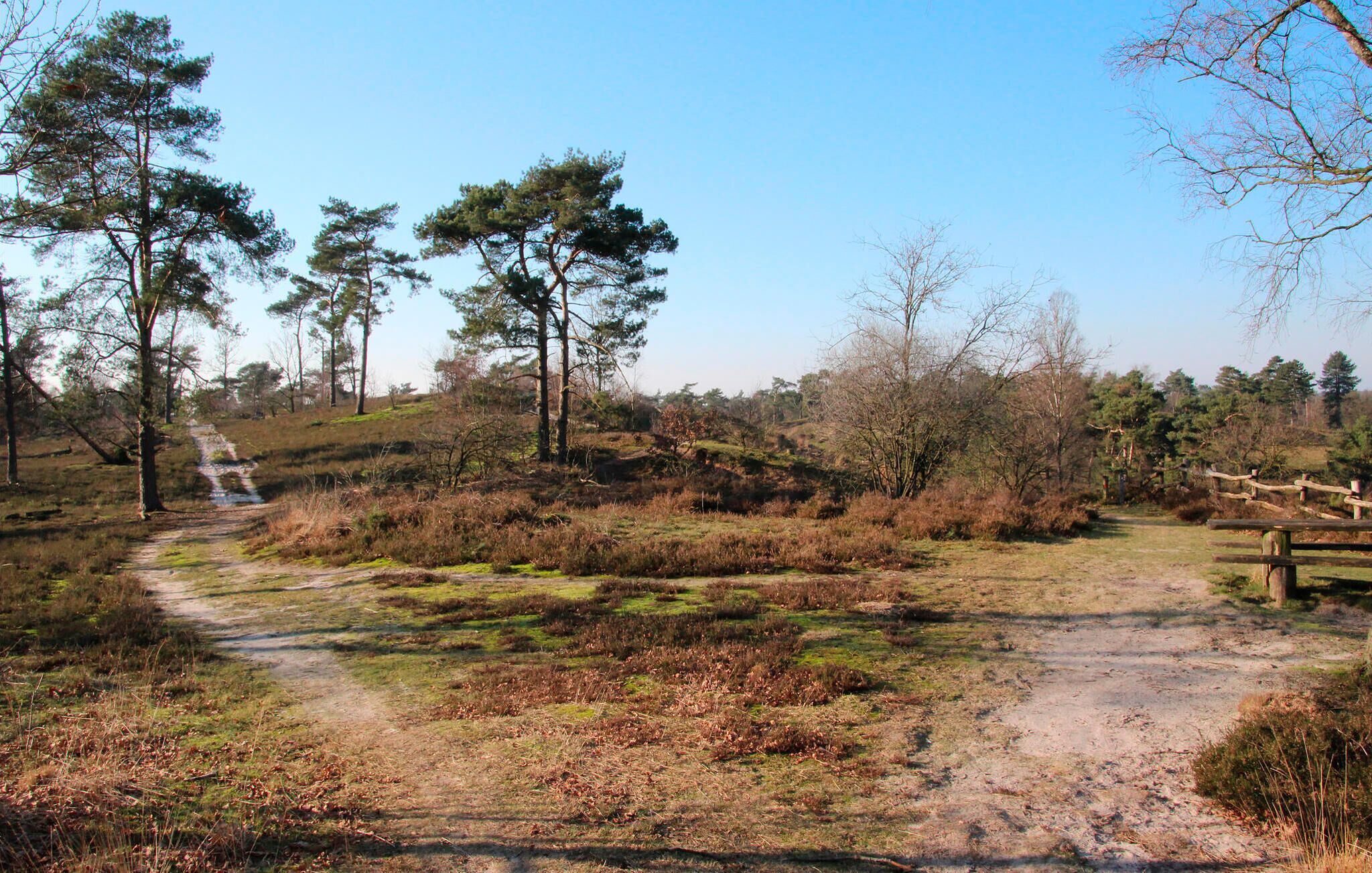 area