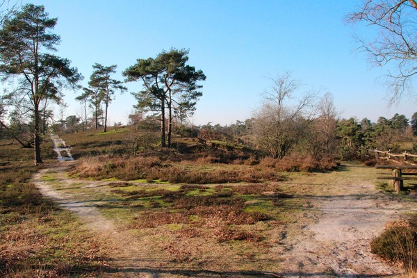 area