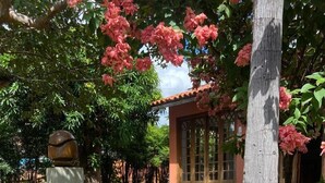 Un jardín con un muro de piedra, una planta en maceta y un edificio con tejado de tejas.
