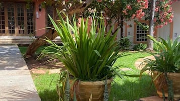 Jardín