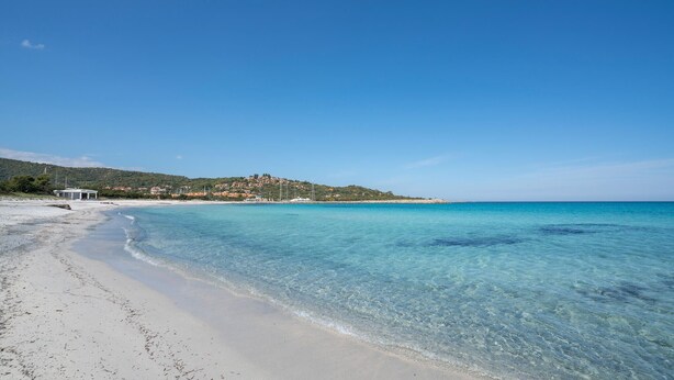 شاطئ
