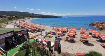 Comfortable apartment the sea roses