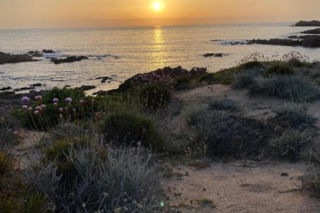 Paisaje costero con atardecer, terreno rocoso y vegetación escasa.