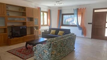 Smart-TV, Kamin